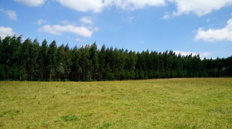 La Corunya - Ordes - 10961m2