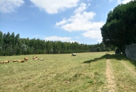 Foto 10