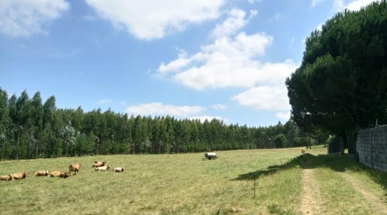 La Corunya - Ordes - 10961m2