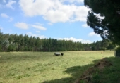 Sòl urbà en venda a la España, Ordes, ref.: TR115479 foto