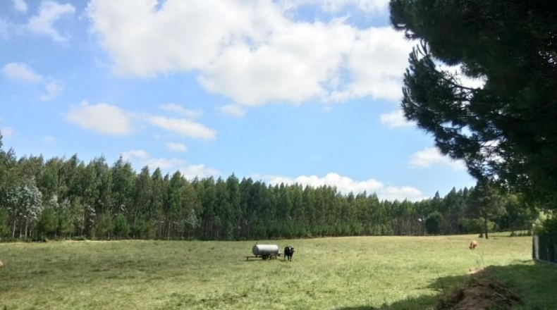 La Corunya - Ordes - 10961m2