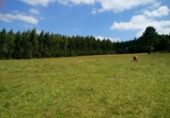 Sòl urbà en venda a la España, Ordes, ref.: TR115479 foto