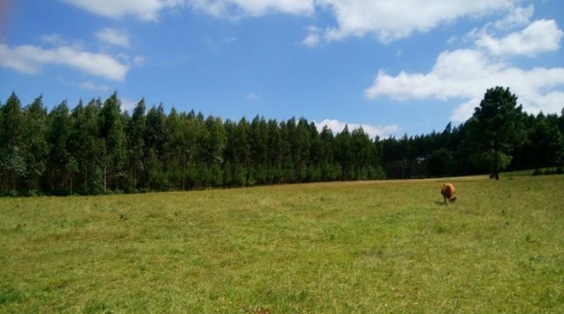 La Corunya - Ordes - 10961m2