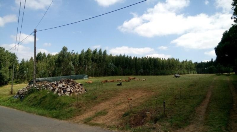 La Corunya - Ordes - 10961m2