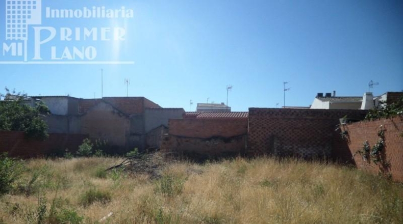 Ciudad Real - Argamasilla de Alba - 600m2