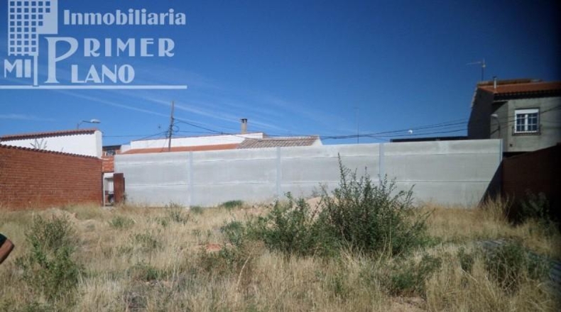 Ciudad Real - Argamasilla de Alba - 600m2