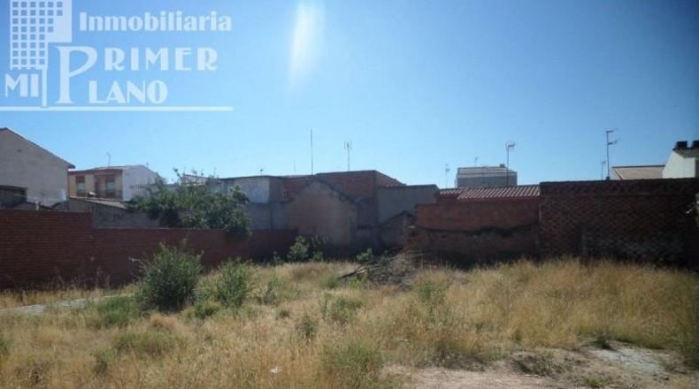 Ciudad Real - Argamasilla de Alba - 600m2