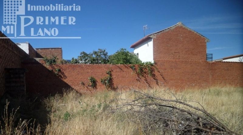 Ciudad Real - Argamasilla de Alba - 600m2