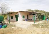Xalet independent amb terreny en venda a la España, Tomelloso, ref.: TR136038 foto