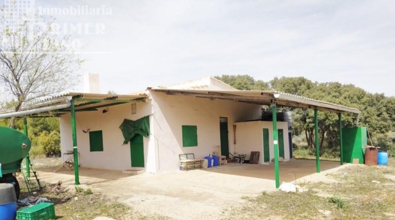 Ciudad Real - Tomelloso - 120000m2