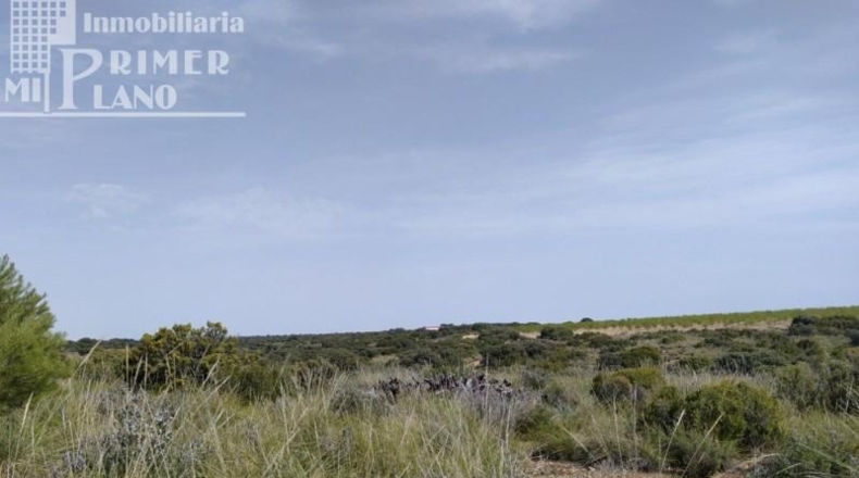 Ciudad Real - Tomelloso - 120000m2