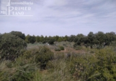 Xalet independent amb terreny en venda a la España, Tomelloso, ref.: TR136038 foto