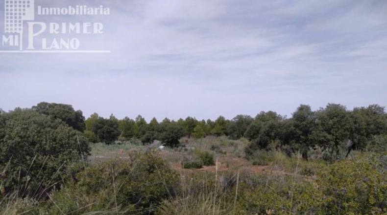 Ciudad Real - Tomelloso - 120000m2