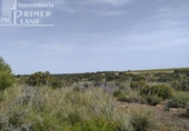 Xalet independent amb terreny en venda a la España, Tomelloso, ref.: TR136038 foto