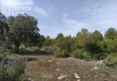 Xalet independent amb terreny en venda a la España, Tomelloso, ref.: TR136038 foto