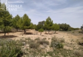 Xalet independent amb terreny en venda a la España, Tomelloso, ref.: TR136038 foto