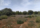 Xalet independent amb terreny en venda a la España, Tomelloso, ref.: TR136038 foto