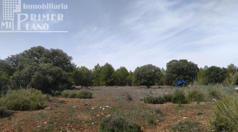 Ciudad Real - Tomelloso - 120000m2