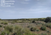 Xalet independent amb terreny en venda a la España, Tomelloso, ref.: TR136038 foto