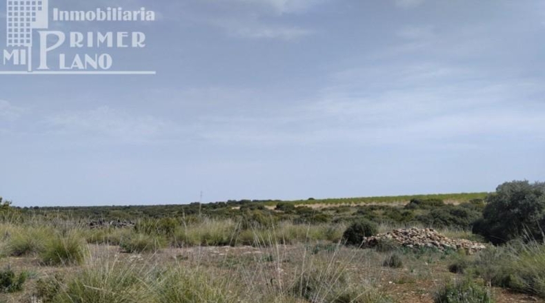 Ciudad Real - Tomelloso - 120000m2