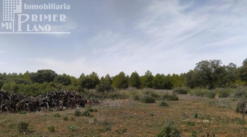 Ciudad Real - Tomelloso - 120000m2