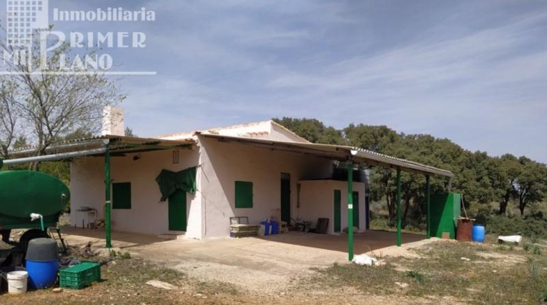 Ciudad Real - Tomelloso - 120000m2