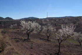 Lorca 202545&nbsp;m²