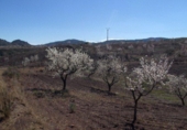 Terreno no urbanizable en venta en la España, Lorca, ref: TR115930 foto