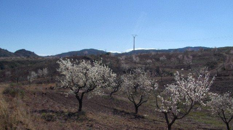Múrcia - Lorca - 202545m2