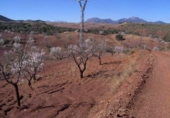 Terreno no urbanizable en venta en la España, Lorca, ref: TR115930 foto