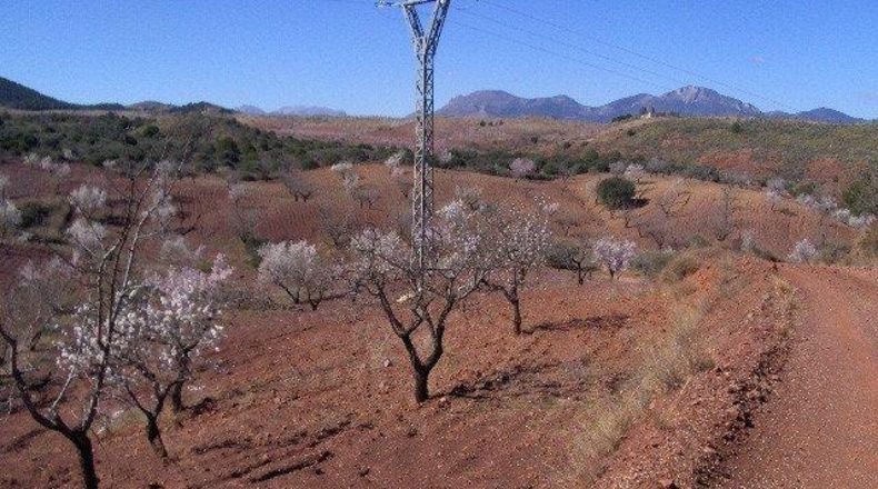 Múrcia - Lorca - 202545m2