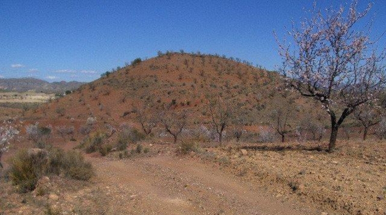 Múrcia - Lorca - 202545m2