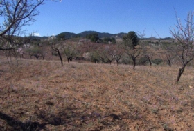 Lorca 202545&nbsp;m²