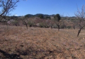 Terreno no urbanizable en venta en la España, Lorca, ref: TR115930 foto