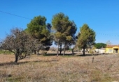 Terreno no urbanizable en venta en la España, Boecillo, ref: TR117800 foto