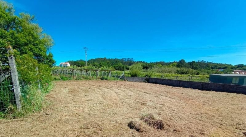 Pontevedra - Sanxenxo - 657m2