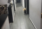 Casa de pueblo en venta en la España, Murcia, ref: TR112394 foto