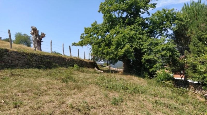 Cantàbria - Ruente - 1000m2