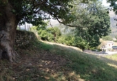 Suelo urbano en venta en la España, Ruente, ref: TR118326 foto
