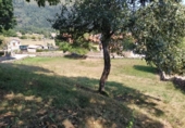 Suelo urbano en venta en la España, Ruente, ref: TR118326 foto