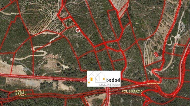 Tarragona - Pradell de la Teixeta - 18000m2
