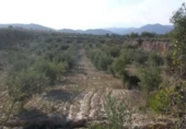 Terreny no urbanitzable en venda a la España, Caravaca de la Cruz, ref.: TR119419 foto