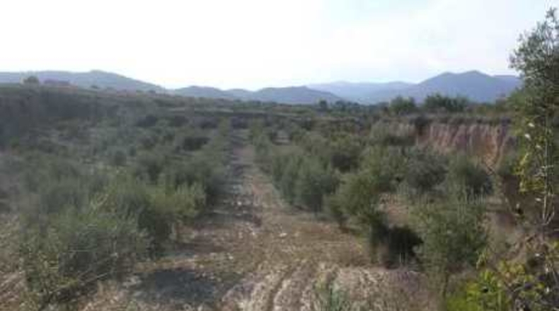 Múrcia - Cehegín - 12202m2