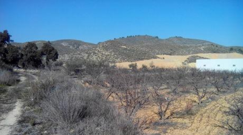 Múrcia - Cehegín - 19000m2