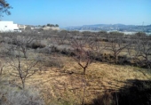 Parcel·la urbanitzable en venda a la España, Cehegín, ref.: TR119465 foto