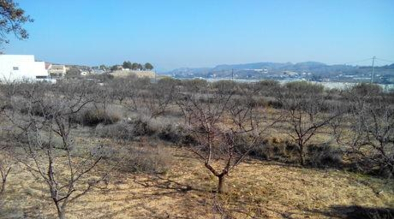 Múrcia - Cehegín - 19000m2