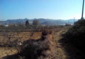 Parcel·la urbanitzable en venda a la España, Cehegín, ref.: TR119465 foto