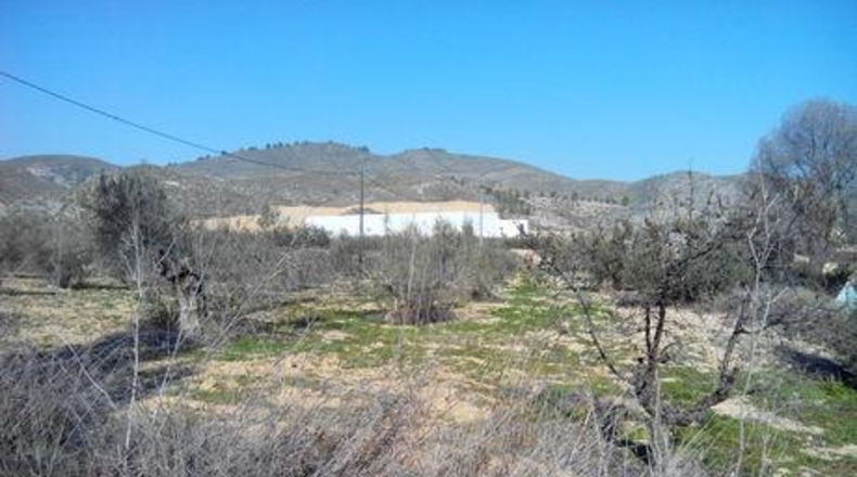 Múrcia - Cehegín - 19000m2