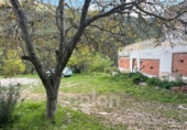 Chalet independiente con terreno en venta en la España, Fonollosa, ref: TR370930 foto