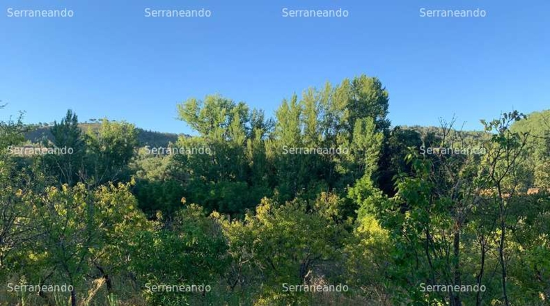 Huelva - Galaroza - 7165m2
